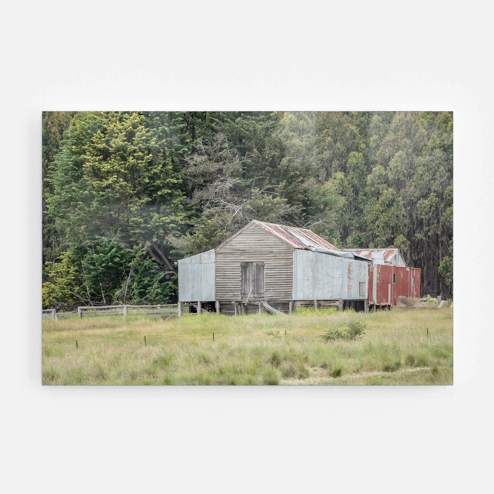 Delegate River | The Woolshed