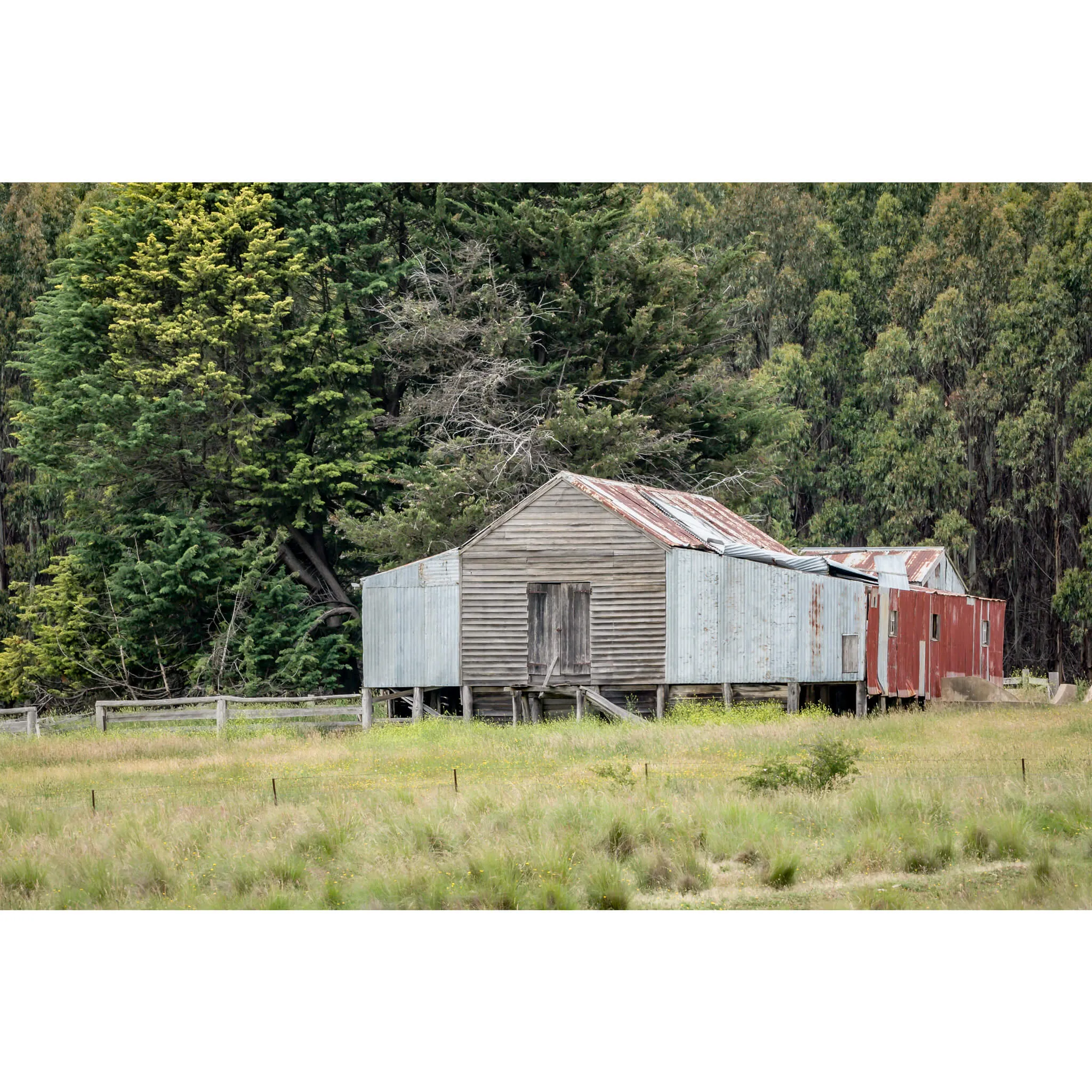 Delegate River | The Woolshed