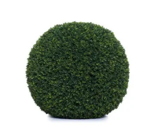 Mini Boxwood Ball Collection