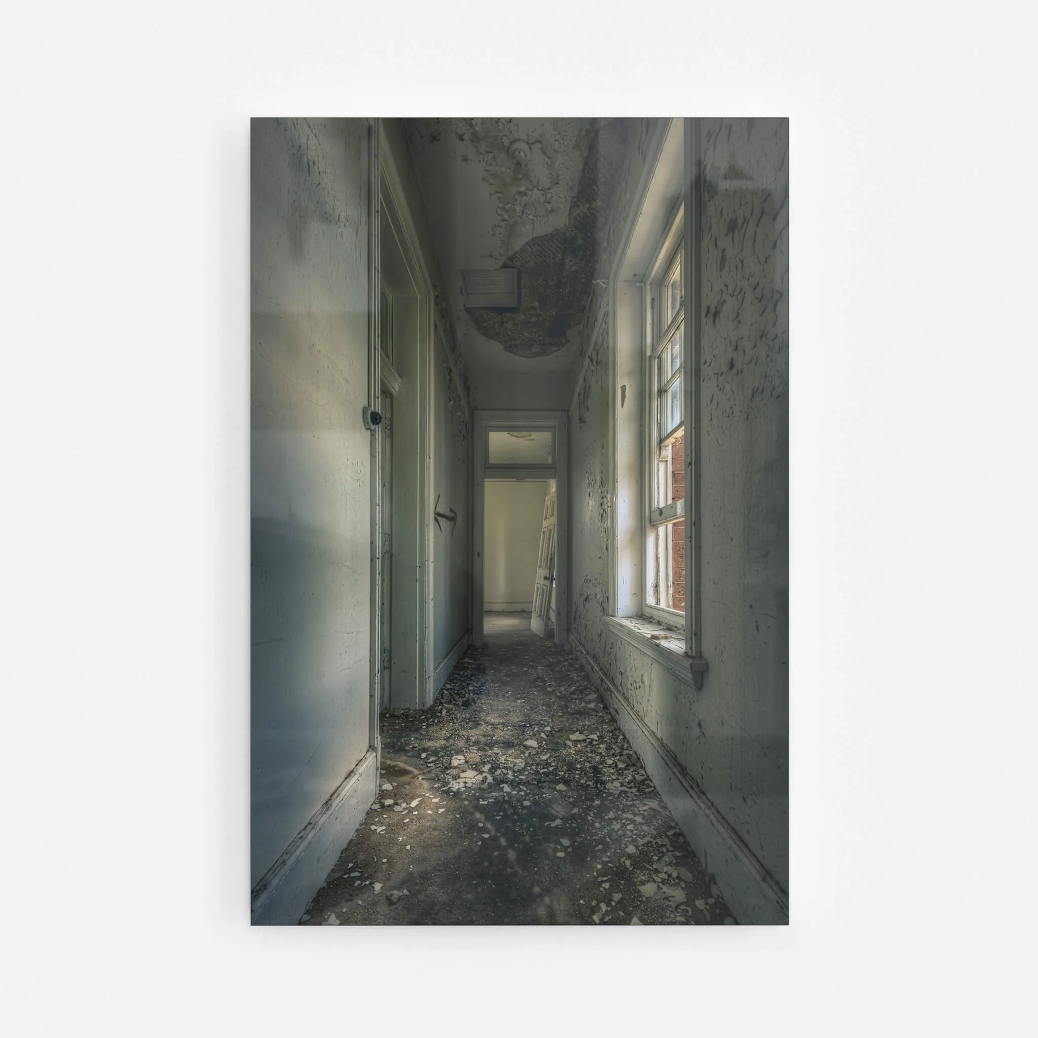 Mouldy Hall | The Asylum