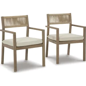 Outdoor Aria Plains Arm Chair with Cushion (set of 2)