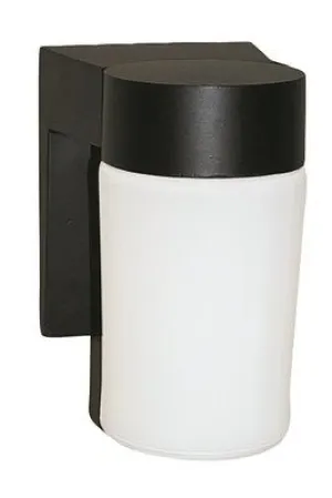 Outdoor Wall Lantern Black 7 X 4-1/4 Inch  Uses (1) 60-Watt Medium Base Lamp